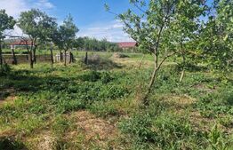 Casă locuibila, 89 mp, 1120 mp teren, Iclod