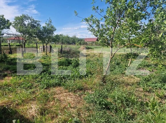 Casa de vânzare 3 camere Iclod - 196671CV | BLITZ Cluj-Napoca | Poza4