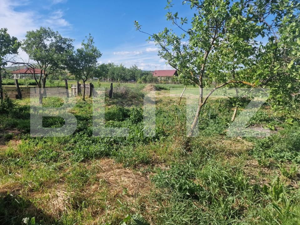 Casa de vânzare 3 camere Iclod - 196671CV | BLITZ Cluj-Napoca | Poza4