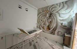 Spatiu comercial pentru salon, 40 mp, 2 parcari, zona Porii