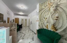 Spatiu comercial pentru salon, 40 mp, 2 parcari, zona Porii