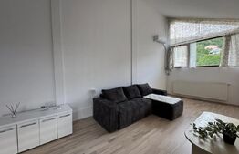 Apartament 2 camere, pet friendly, 65 mp, zona Faleza Grigorescu