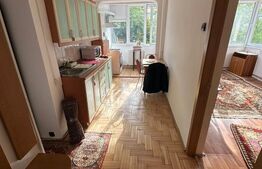 Apartament 2 camere, luminos, aproape de Someș - Grigorescu