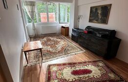 Apartament 2 camere, luminos, aproape de Someș - Grigorescu