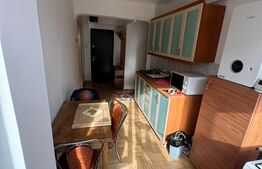Apartament 2 camere, luminos, aproape de Someș - Grigorescu