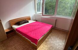 Apartament 2 camere, luminos, aproape de Someș - Grigorescu