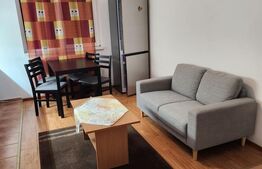 Apartament cu 3 camere, 60 mp, Manastur, Pet friendly 