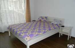 Proprietate compusa din 2 case, 385 mp utili, teren 1000 mp, zona Borhanci!