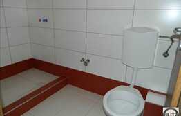 Proprietate compusa din 2 case, 385 mp utili, teren 1000 mp, zona Borhanci!