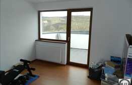 Proprietate compusa din 2 case, 385 mp utili, teren 1000 mp, zona Borhanci!