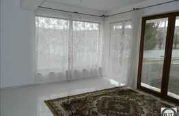 Proprietate compusa din 2 case, 385 mp utili, teren 1000 mp, zona Borhanci!