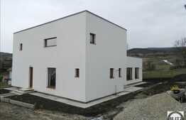 Proprietate compusa din 2 case, 385 mp utili, teren 1000 mp, zona Borhanci!