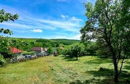 Teren intravilan, 1.518 mp în Feleacu – Confort, natură și utilități complete
