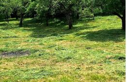 Teren intravilan, 1.518 mp în Feleacu – Confort, natură și utilități complete