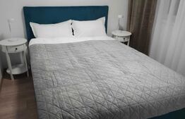 Apartament Ultracentral, Investitie sigura, 2 camere de vanzare