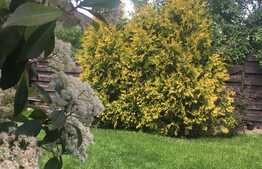 Casa de vanzare, 260 mp, teren 500 mp, mobilata, zona linistita de case