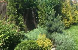 Casa de vanzare, 260 mp, teren 500 mp, mobilata, zona linistita de case