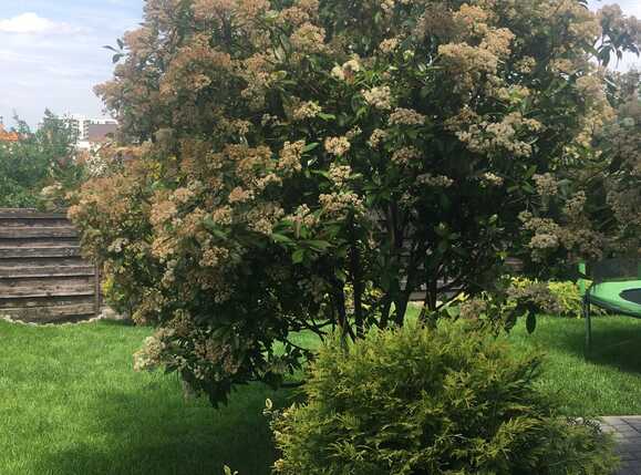 Casa de vânzare 4 camere Bună Ziua - 19702CV | BLITZ Cluj-Napoca | Poza5