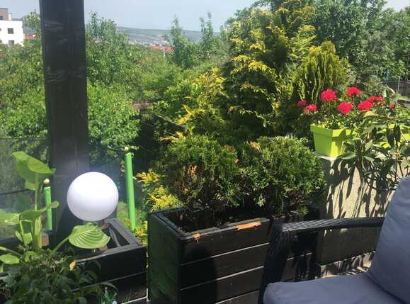 Casa de vânzare 4 camere Bună Ziua - 19702CV | BLITZ Cluj-Napoca | Poza4