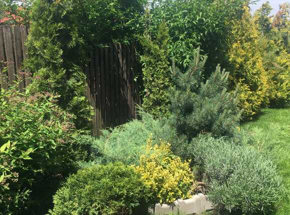 Casa de vânzare 4 camere Bună Ziua - 19702CV | BLITZ Cluj-Napoca | Poza22