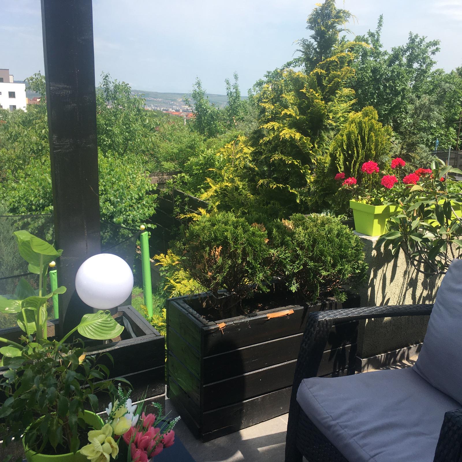 Casa de vânzare 4 camere Bună Ziua - 19702CV | BLITZ Cluj-Napoca | Poza4