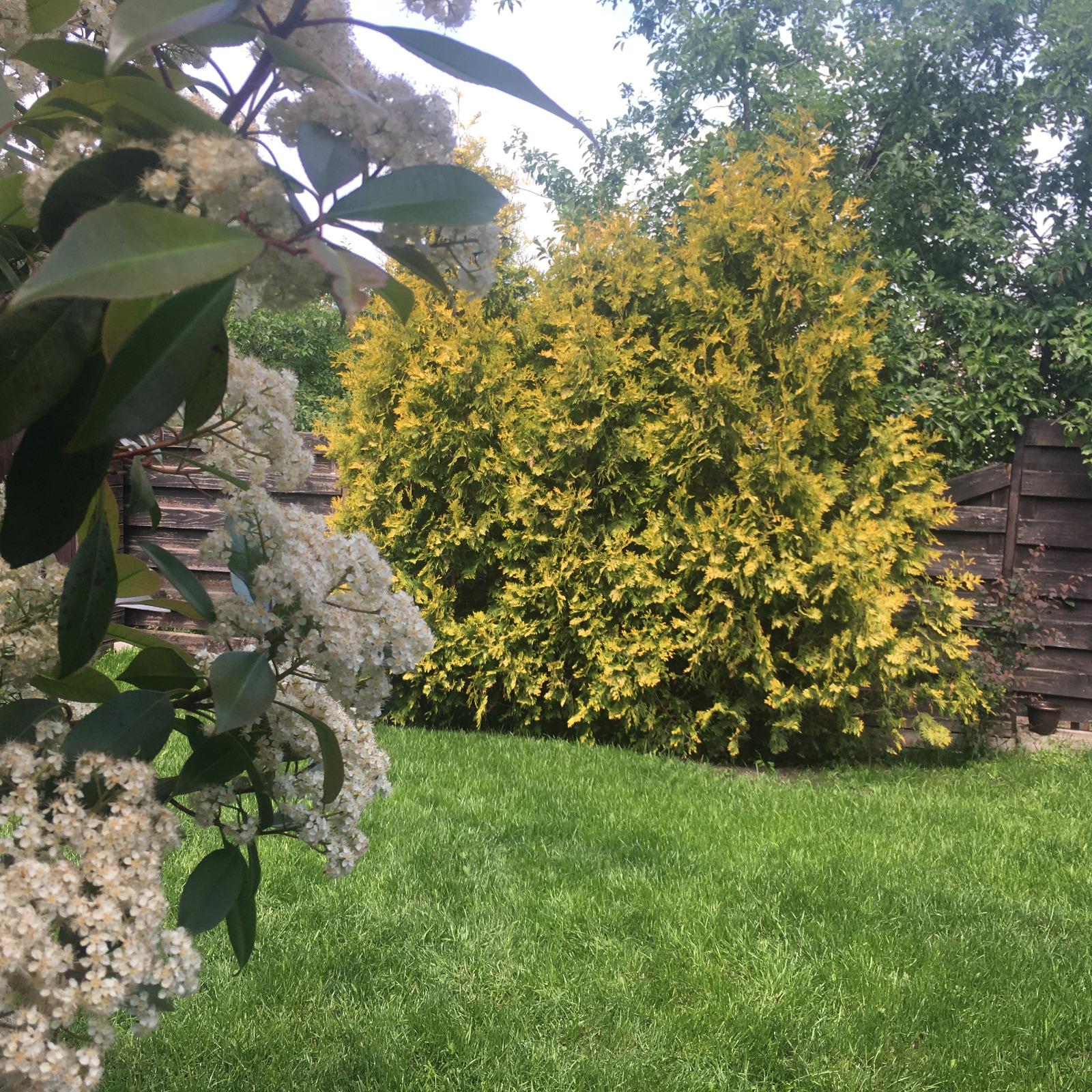 Casa de vânzare 4 camere Bună Ziua - 19702CV | BLITZ Cluj-Napoca | Poza21