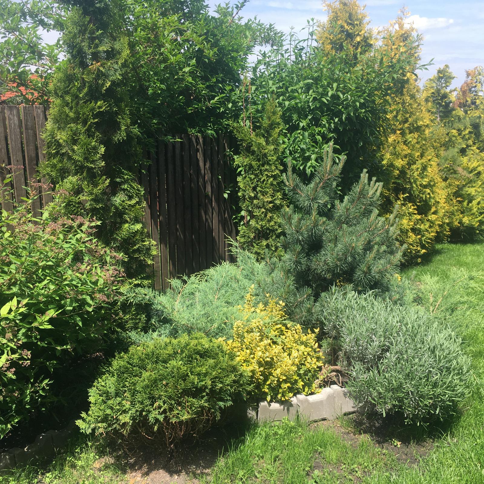 Casa de vânzare 4 camere Bună Ziua - 19702CV | BLITZ Cluj-Napoca | Poza22