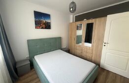 Apartament 2 camere, pet friendly, parcare, zona Cetății