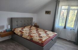 Casa moderna si spatioasa de vanzare, P+M - Prejmer