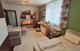 Apartament cu o camera, 40mp, etaj intermediar, parcare, zona Eroilor