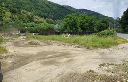 Teren Intravilan la sosea, 1407 mp, Someșu Rece