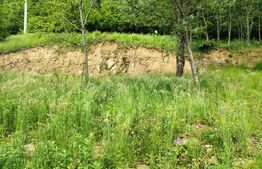 Teren zona de munte 1800 mp, cu apa de izvor, la Somesu Rece
