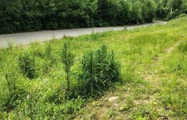Teren zona de munte 1800 mp, cu apa de izvor, la Somesu Rece