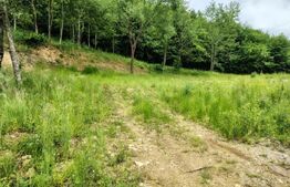 Teren zona de munte 1800 mp, cu apa de izvor, la Somesu Rece