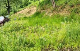Teren zona de munte 1800 mp, cu apa de izvor, la Somesu Rece