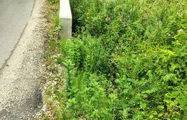 Teren zona de munte 1800 mp, cu apa de izvor, la Somesu Rece