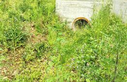 Teren zona de munte 1800 mp, cu apa de izvor, la Somesu Rece
