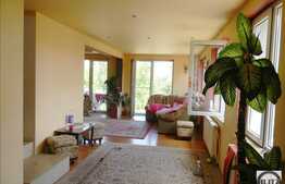 Vanzare casa individuala, 200 mp utili, 540 mp teren, zona linistita