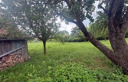 Casă cu teren generos de 2.963 mp în Aiton
