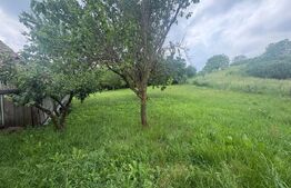 Casă cu teren generos de 2.963 mp în Aiton