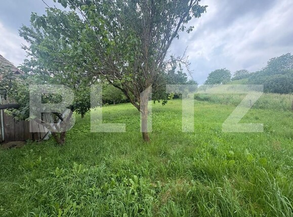 Casa de vânzare 2 camere Aiton - 197102CV | BLITZ Cluj-Napoca | Poza8