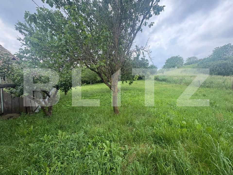 Casa de vânzare 2 camere Aiton - 197102CV | BLITZ Cluj-Napoca | Poza8