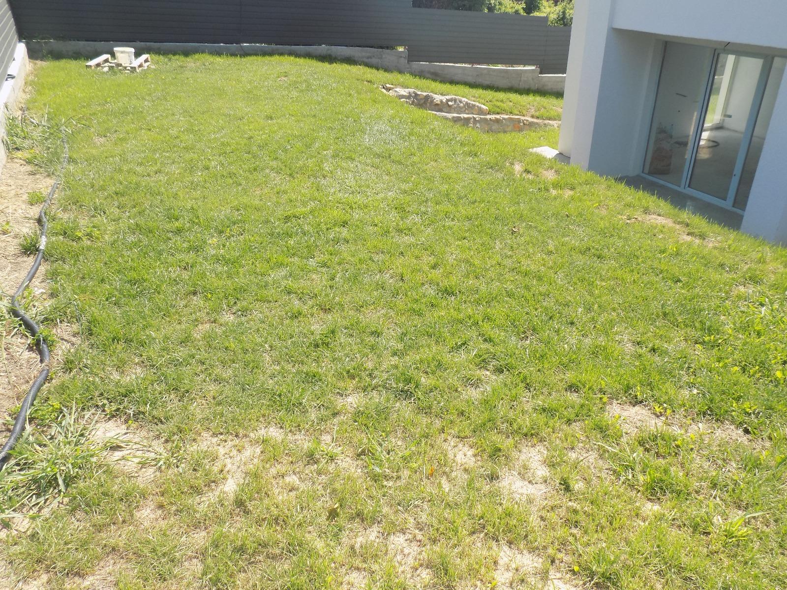 Casa de vânzare 4 camere Dambul Rotund - 19717CV | BLITZ Cluj-Napoca | Poza10