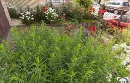 Vanzare casa individuala, 100 mp utili, 474 mp teren, zona de case si vile