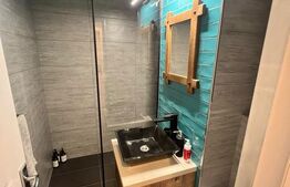 Apartament 1 camera, 40 mp, in Gruia!