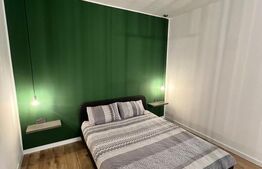 Apartament 1 camera, 40 mp, in Gruia!