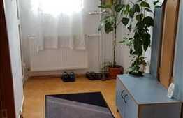 Vanzare casa cuplata, 128 mp utili, 228 mp teren, zona semicentrala