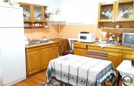 Vanzare casa cuplata, 128 mp utili, 228 mp teren, zona semicentrala