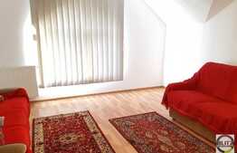 Vanzare casa individuala, 359 mp utili, 420 mp teren, zona de case si vile