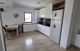 Apartament cu 2 camere, open space, zona Tractorul 